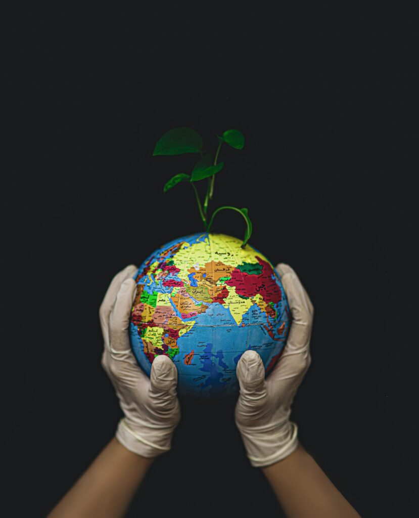 environmental sustainability